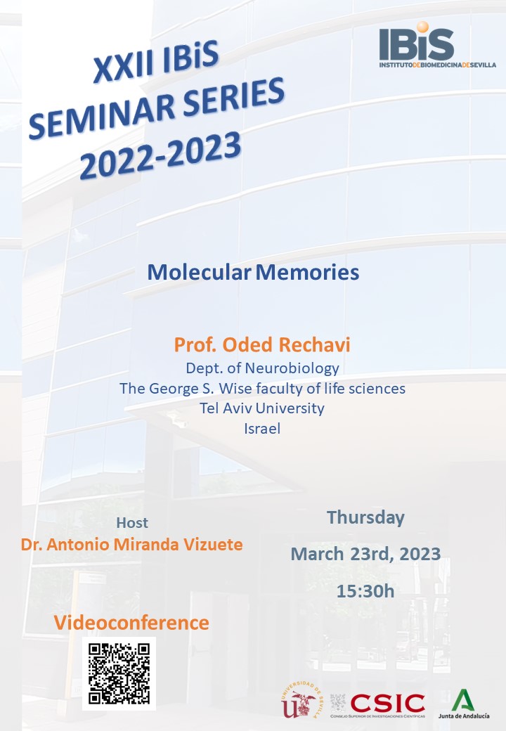 Poster: Molecular Memories