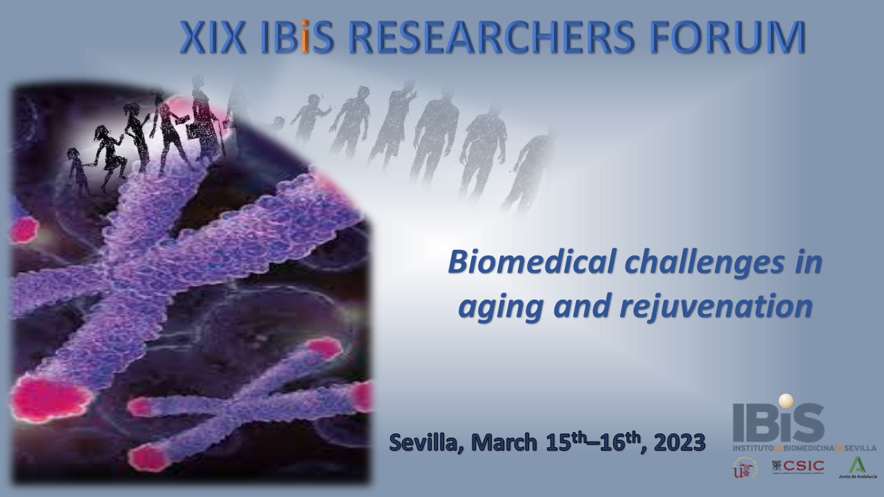 Poster: XIX IBiS RESEARCHERS FORUM 2023