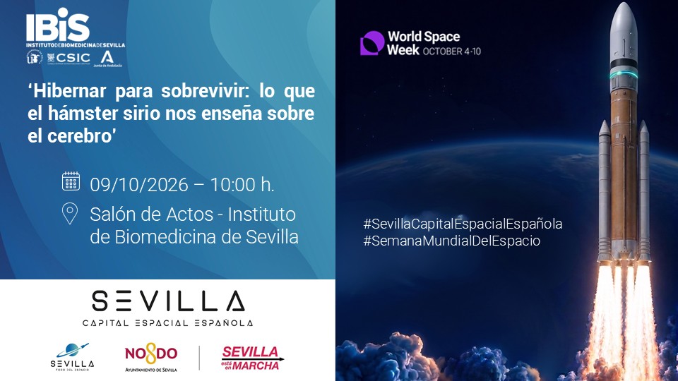 Poster: SEMANA MUNDIAL DEL ESPACIO: Hibernar para sobrevivir: lo que el hámster sirio nos enseña sobre el cerebro