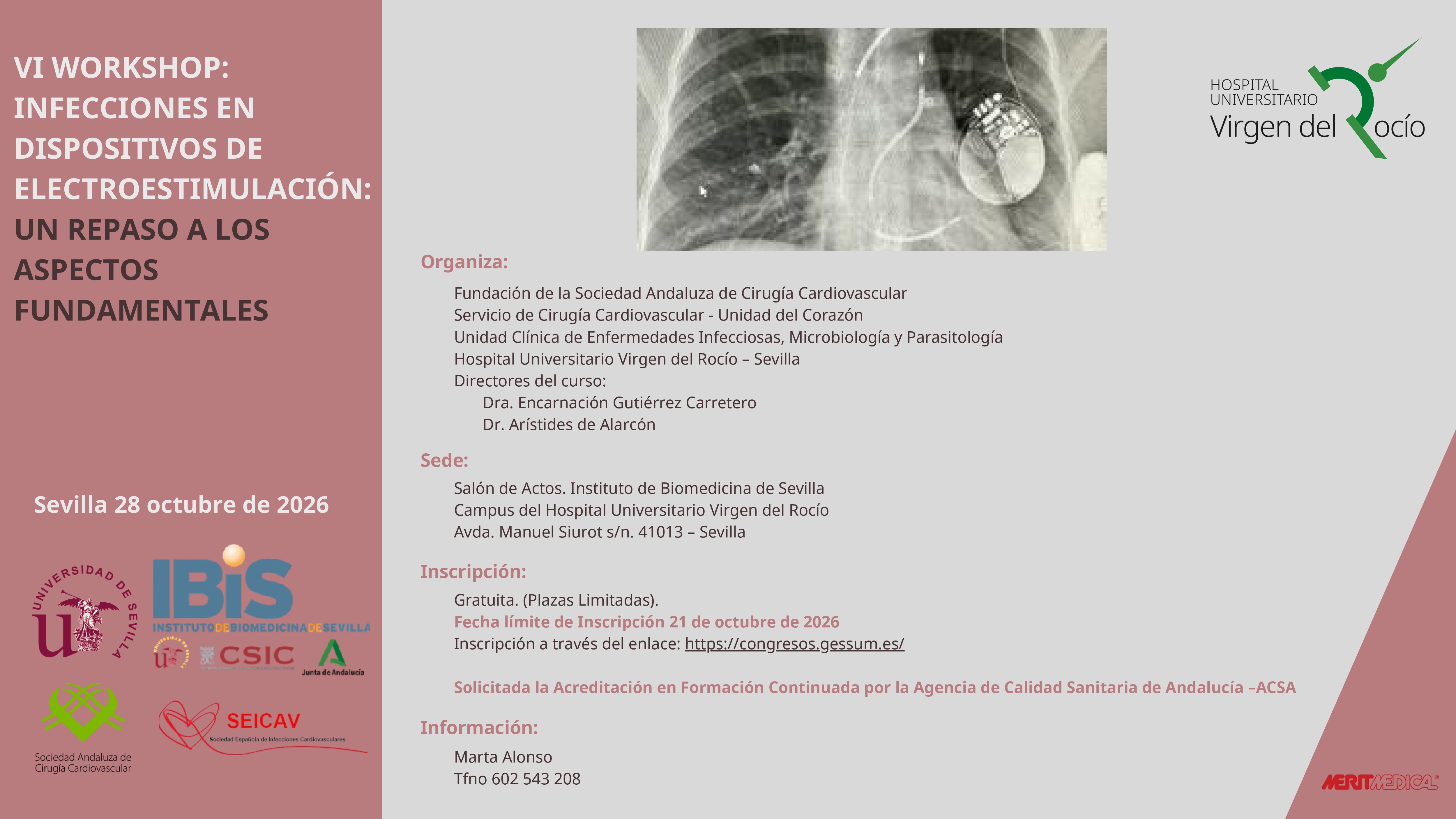Poster: VI WORKSHOP: INFECCIONES EN DISPOSITIVOS DE ELECTROESTIMULACIÓN: UN REPASO A LOS ASPECTOS FUNDAMENTALES