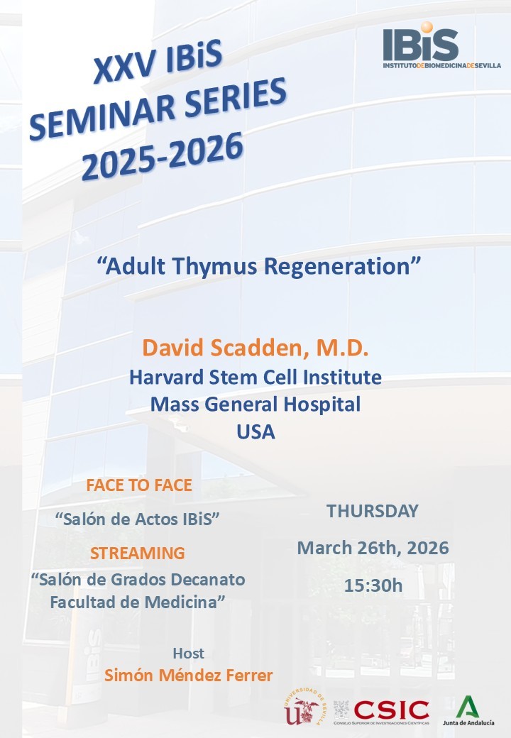 Poster: Adult Thymus Regeneration